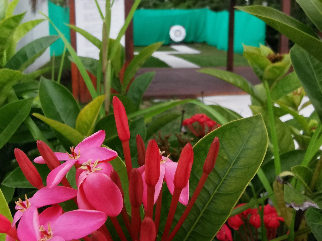 Reef Oasis Dive Club-弗里波特必去景点