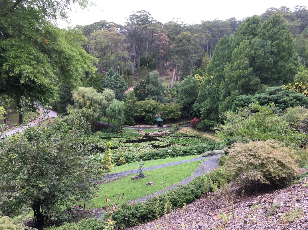 Mount Lofty Botanic Garden景点图片