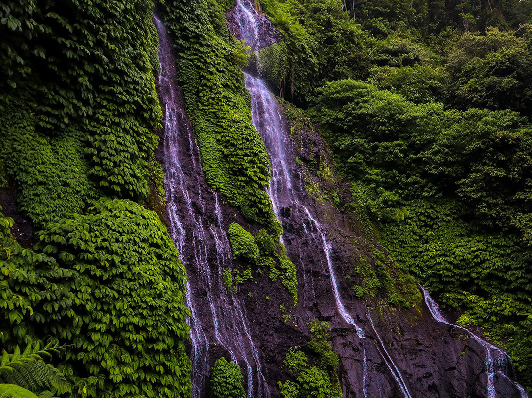 普瑞阳光大酒店主图