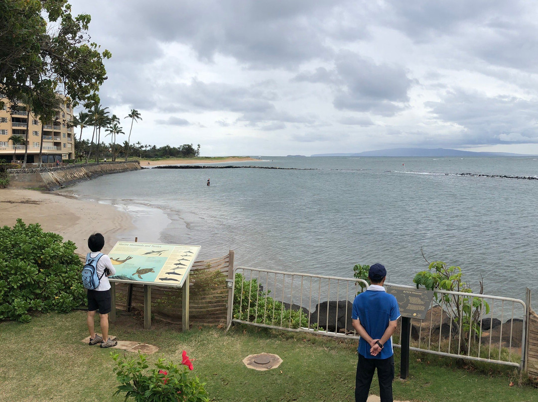 Hawaiian Islands Humpback Whale Sanctuary Visitor Center-基黑必去景点