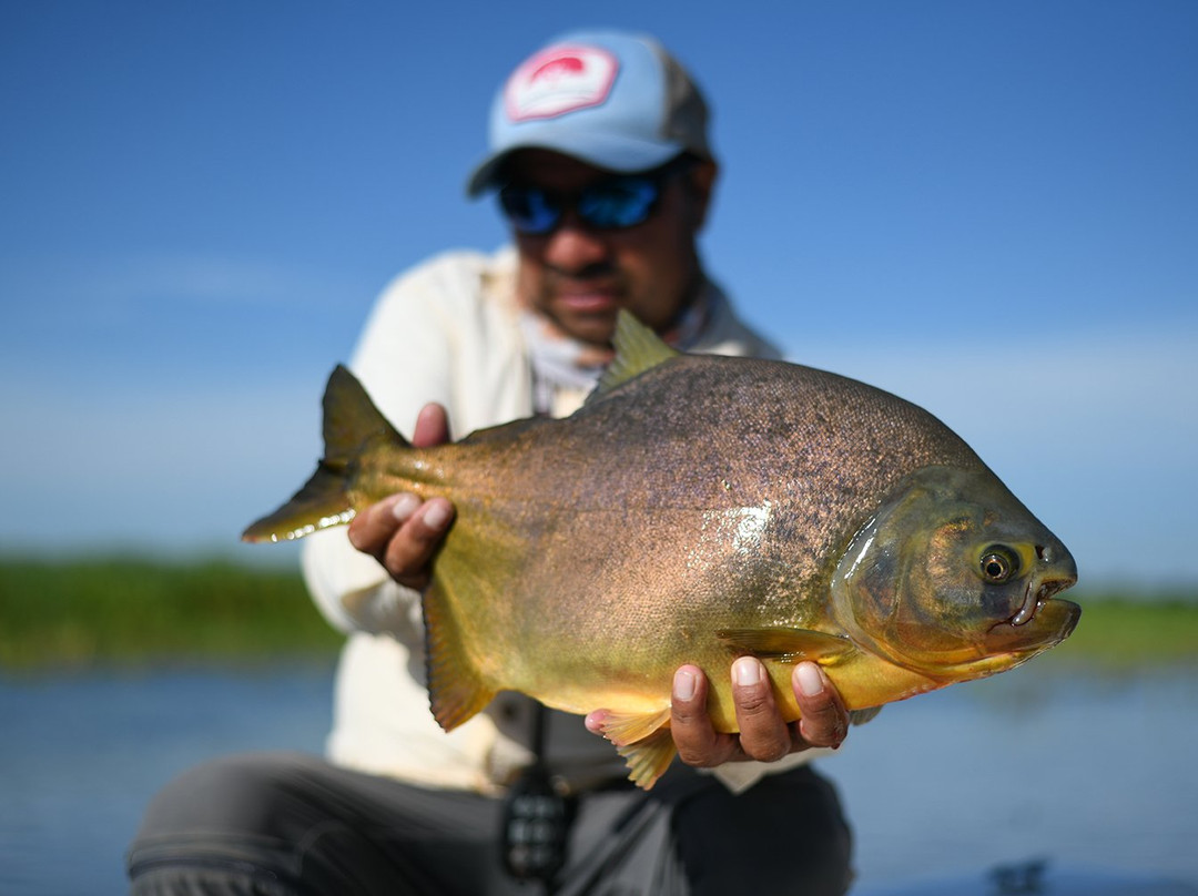 Don Joaquin River Lodge主图