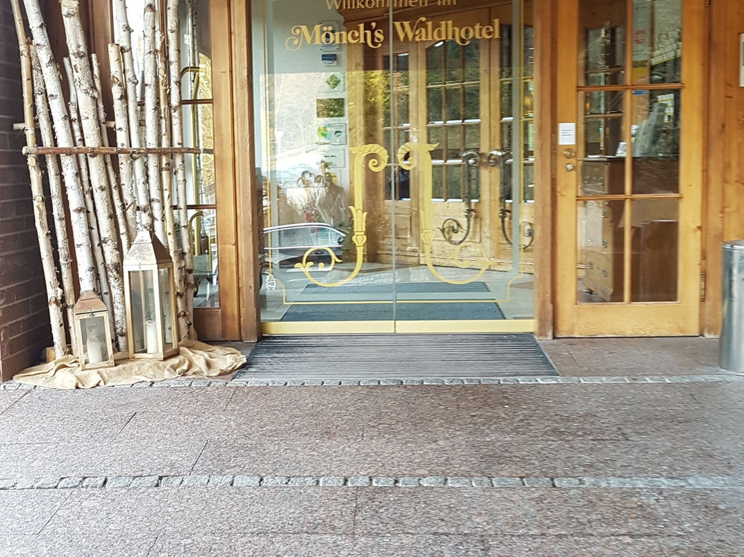 Ringhotel Monch's Waldhotel主图