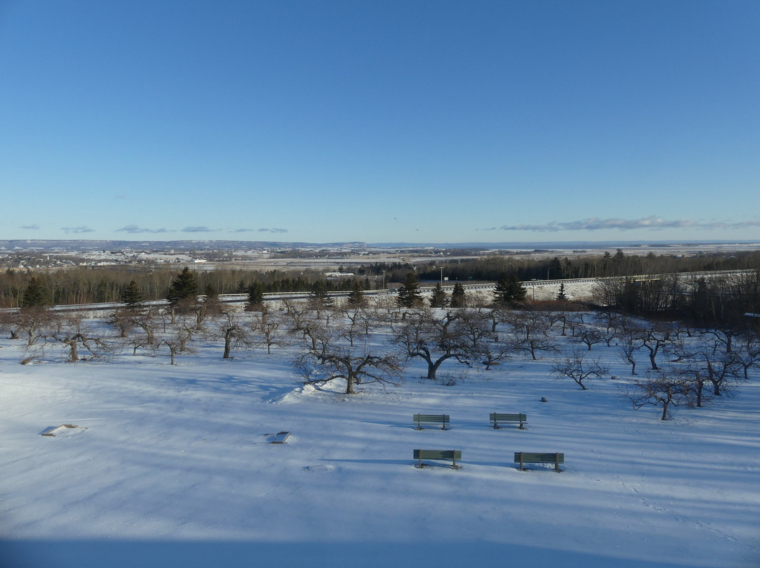 老果园spa度假酒店主图