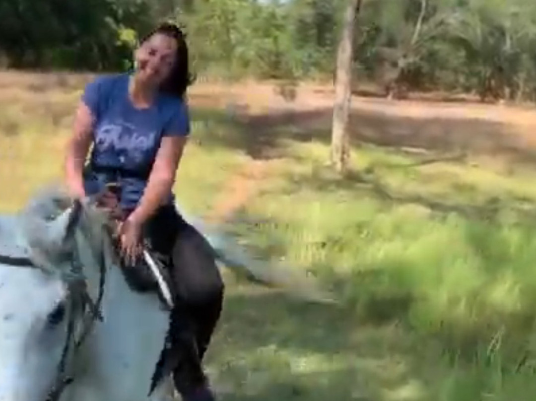 South Arabian Horse Club-拉克山必去景点