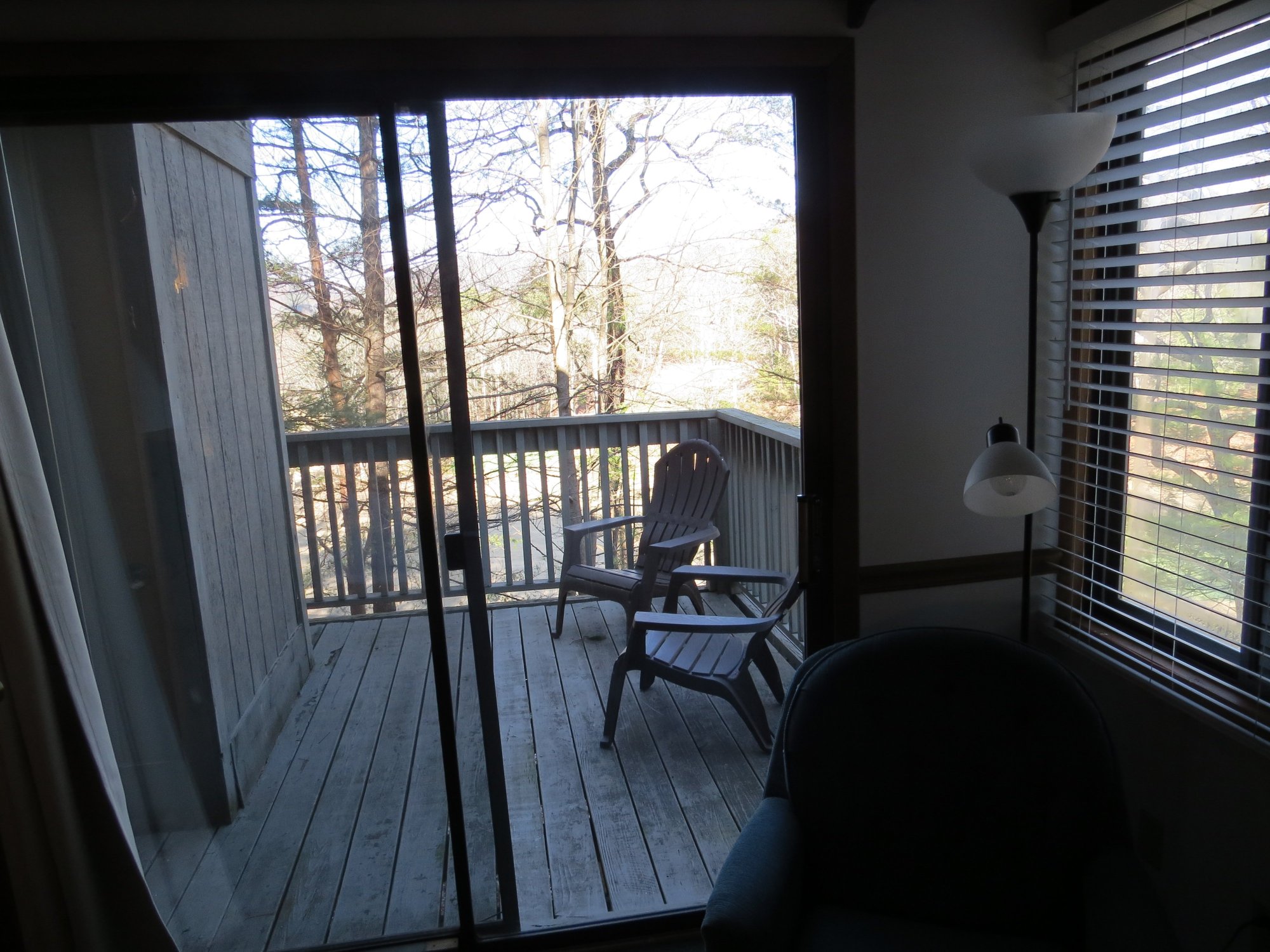 Bluegreen Golf Club Villas at Big Canoe-酒店景观