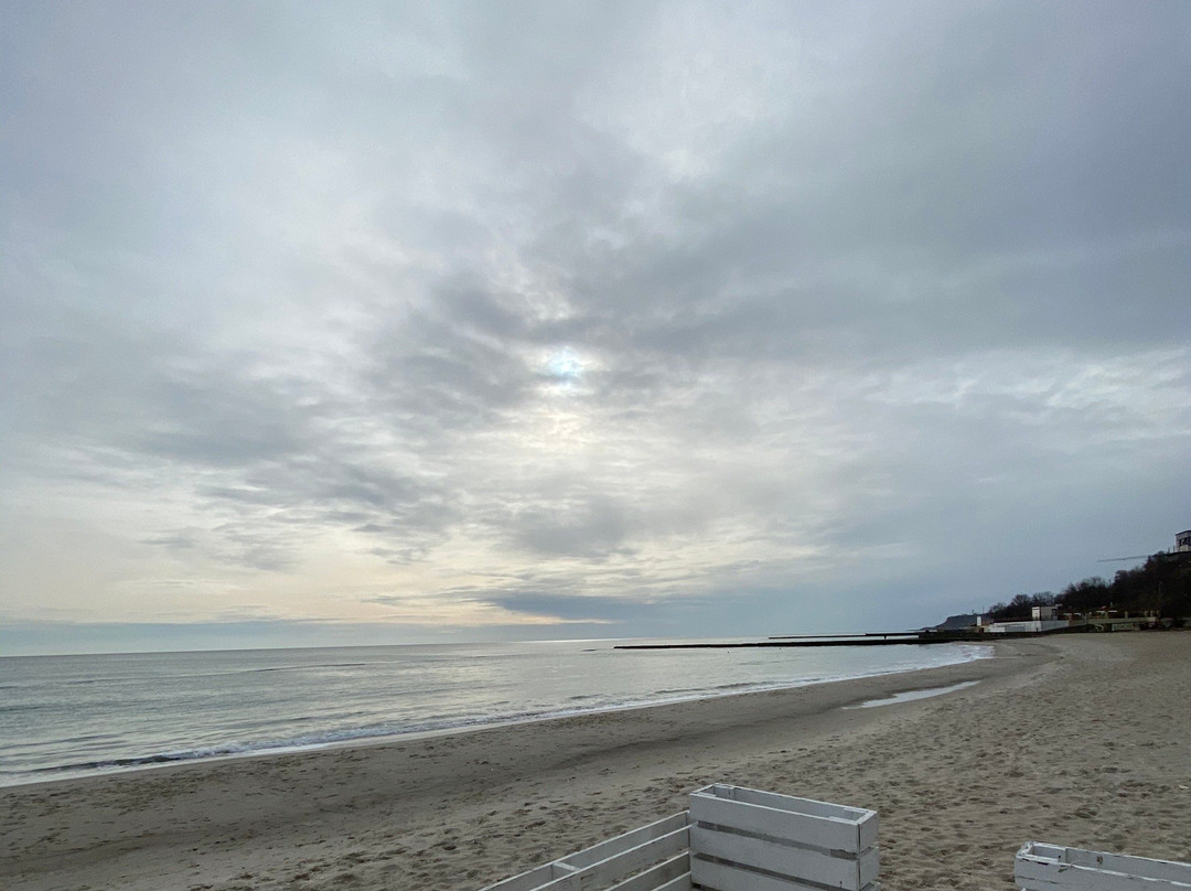 Beach Golden Shore景点图片