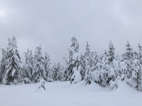 Travelers Snowmobile Rentals-西黄石镇必去景点