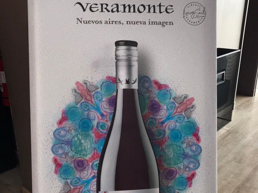 Viñedos Veramonte景点图片