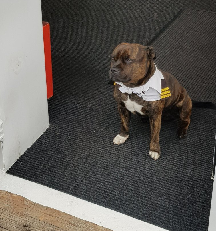 Bremer Canyon Killer whale Expeditions-Bremer Bay必去景点