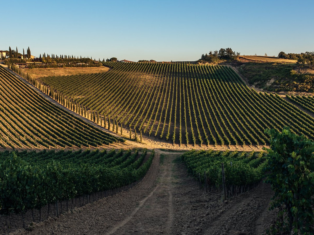 Colle Adimari-Cerreto Guidi必去景点