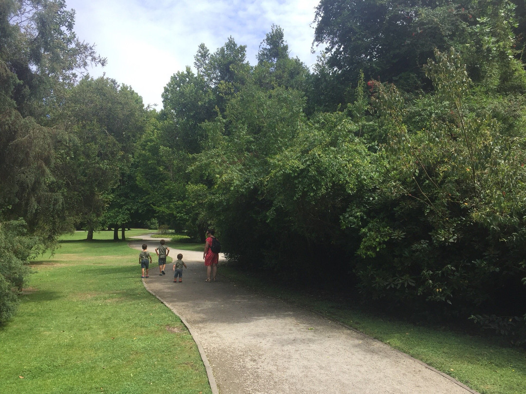 Parque Jorge Alessandri景点图片