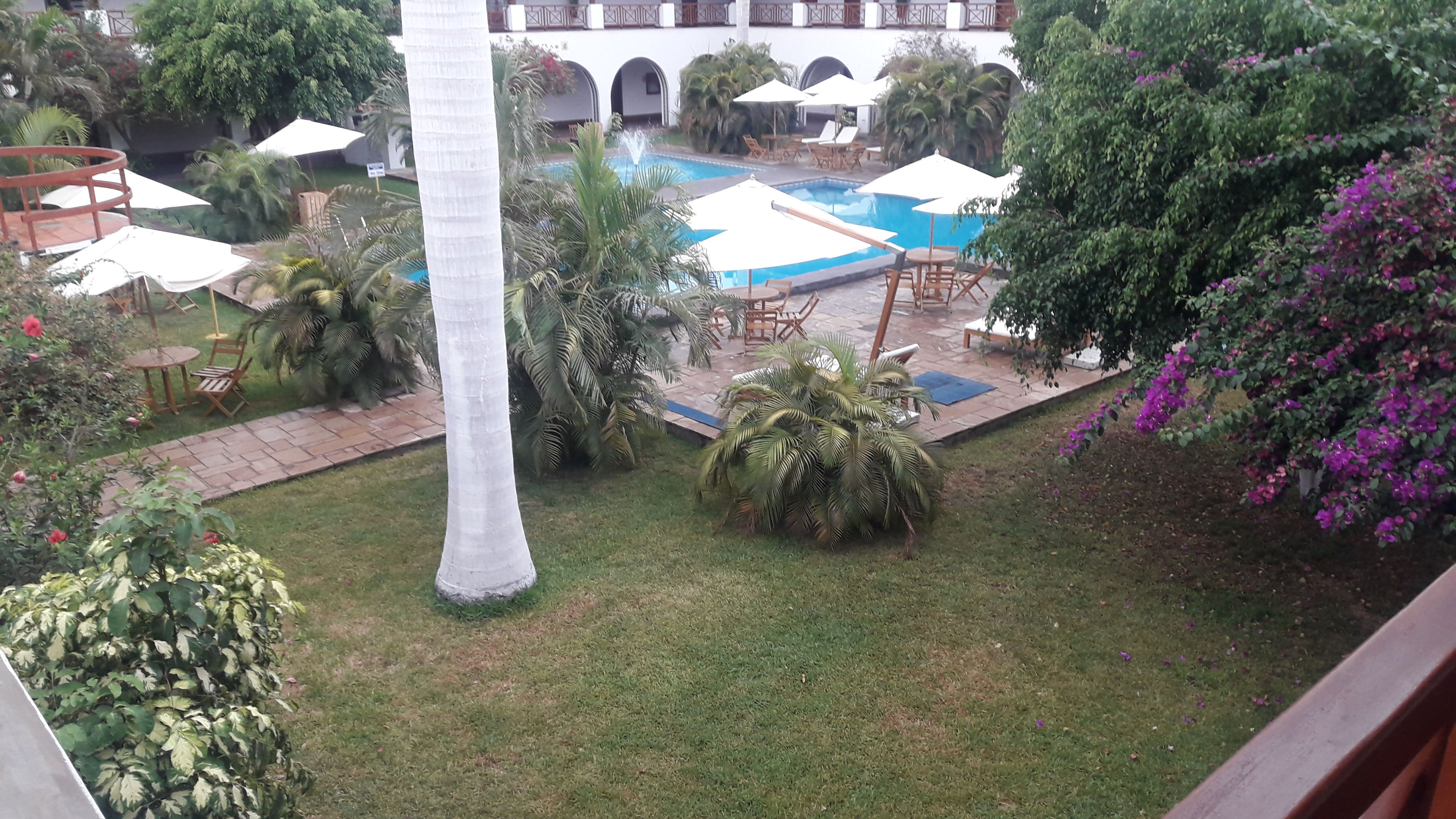 DM Hoteles Nasca-泳池