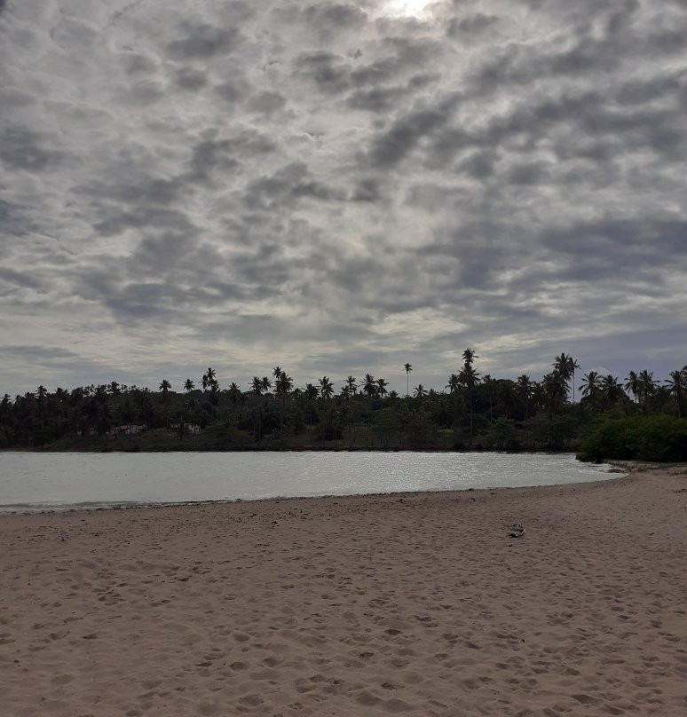 Camacho Beach-Maragogi必去景点