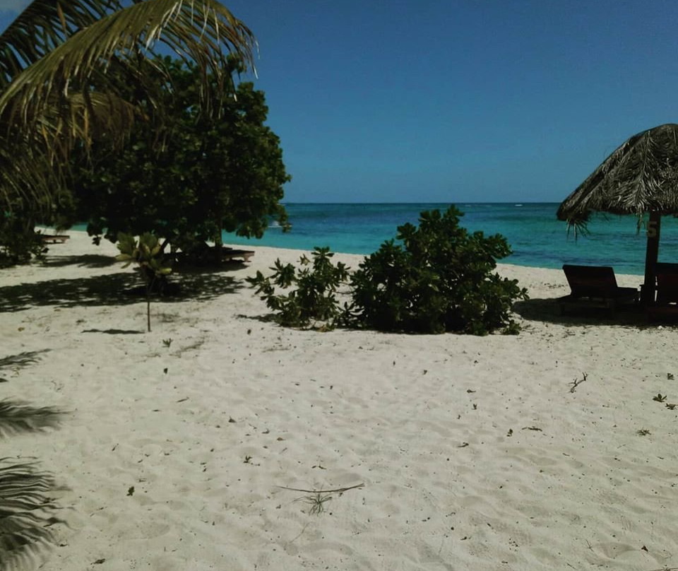 维瓦岛度假酒店主图