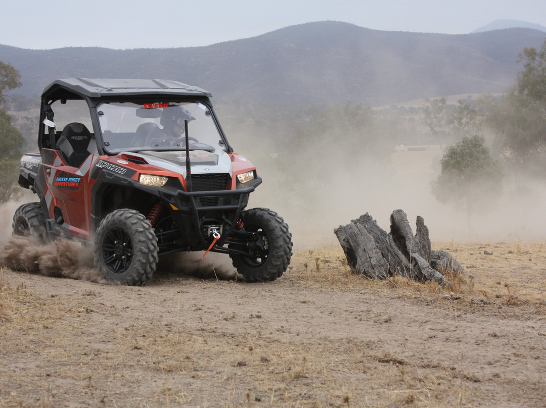 Aussie Buggy Adventures景点图片