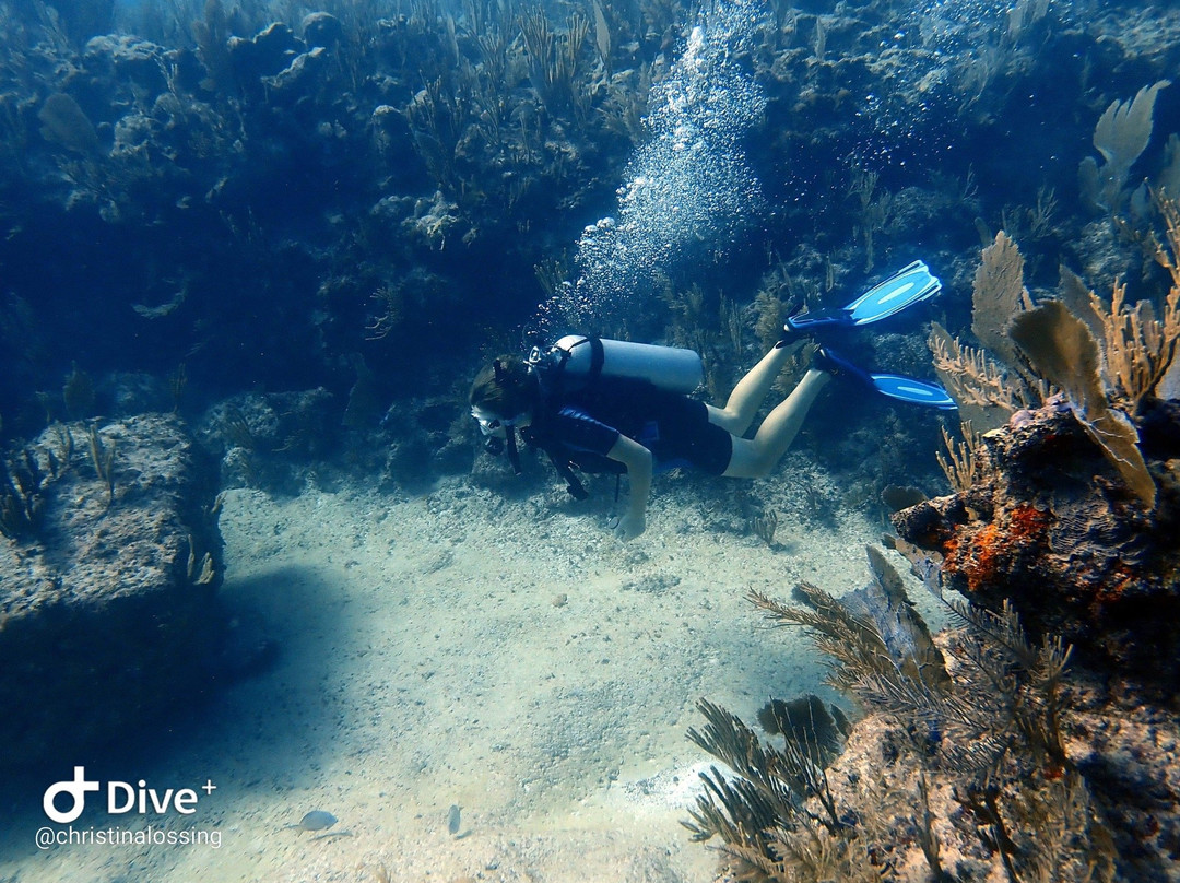 Tankah Divers Tulum-图伦必去景点