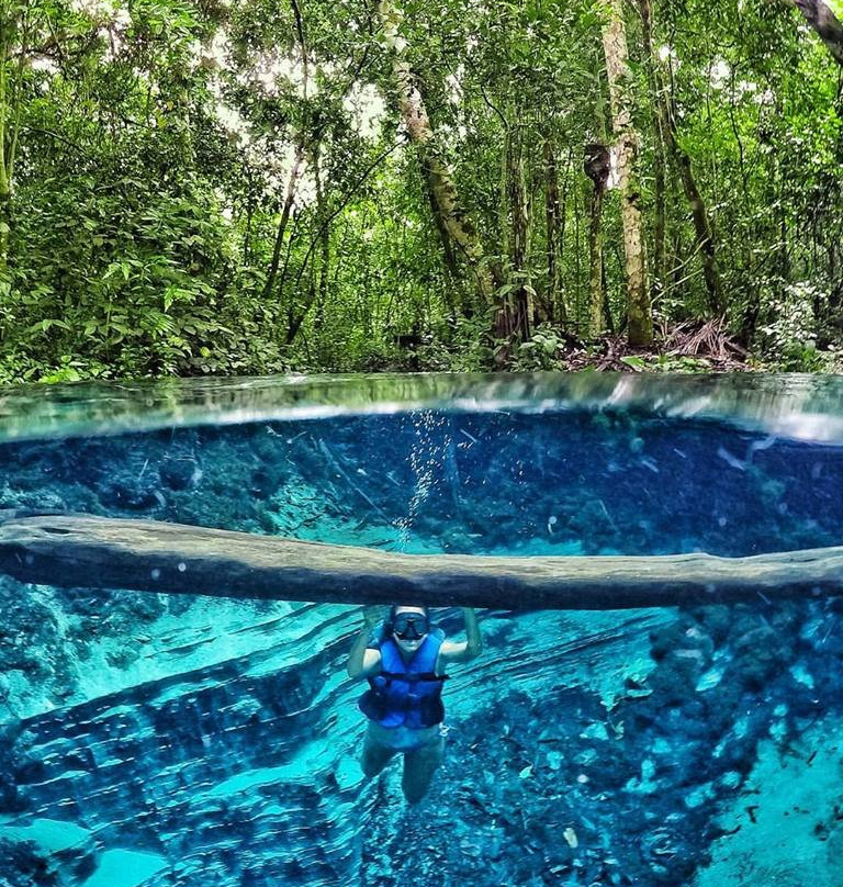 Aquário Encantado-诺布里斯必去景点