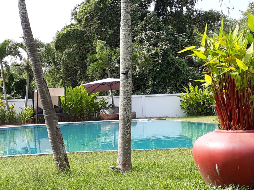 Samanea Beach Resort & Spa主图