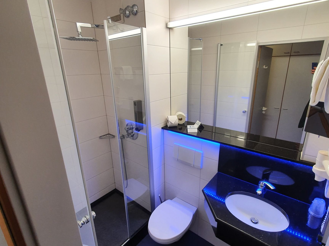 布倫瑞克市南廣場飯店主图