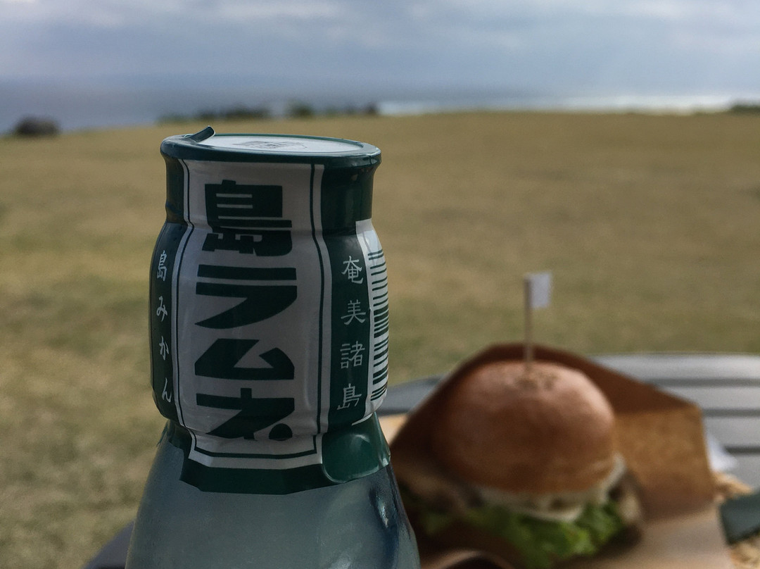 Ayamaru Misaki Tourist Information Center-奄美市必去景点