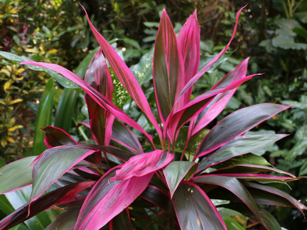 Hotel Belvedere主图