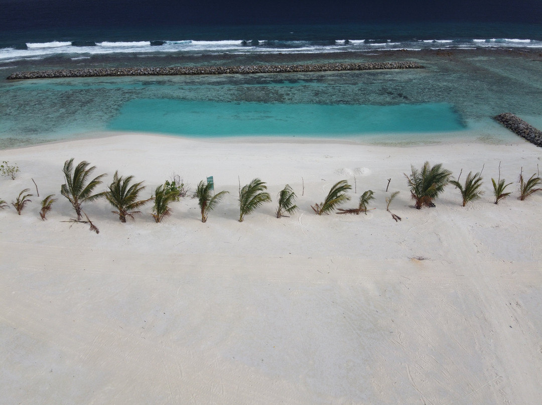 Beach Heaven Maldives - Golden Turtle Guest House主图