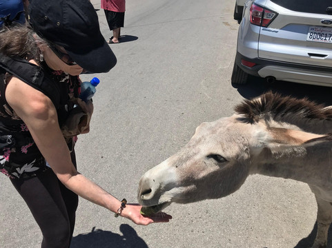 Desert Wonder Tours-哈瓦苏湖城必去景点