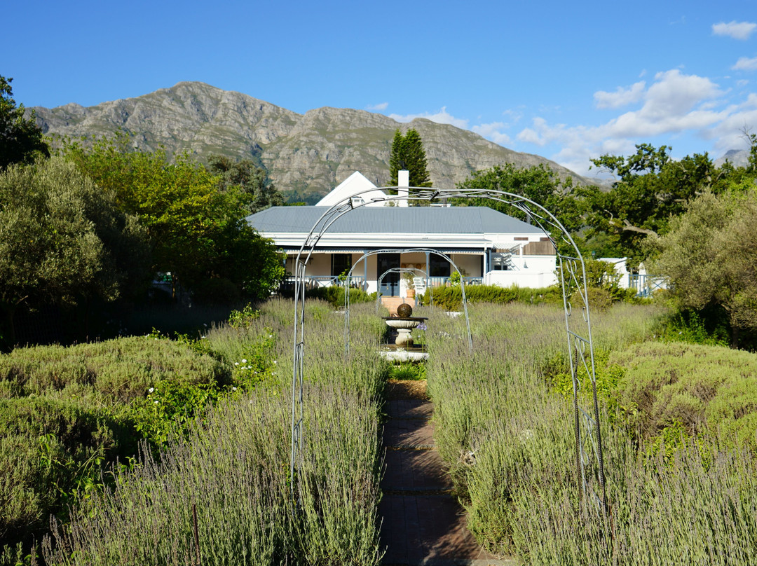 Chapter House Boutique Hotel主图