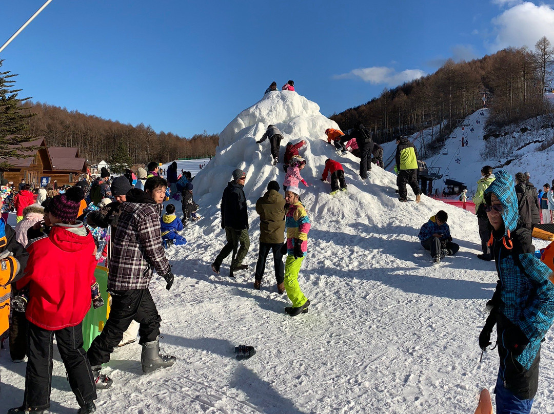 Karuizawa Snow Park景点图片