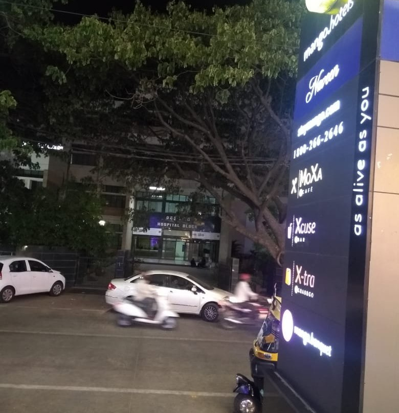 Mango Hotels Naveen主图