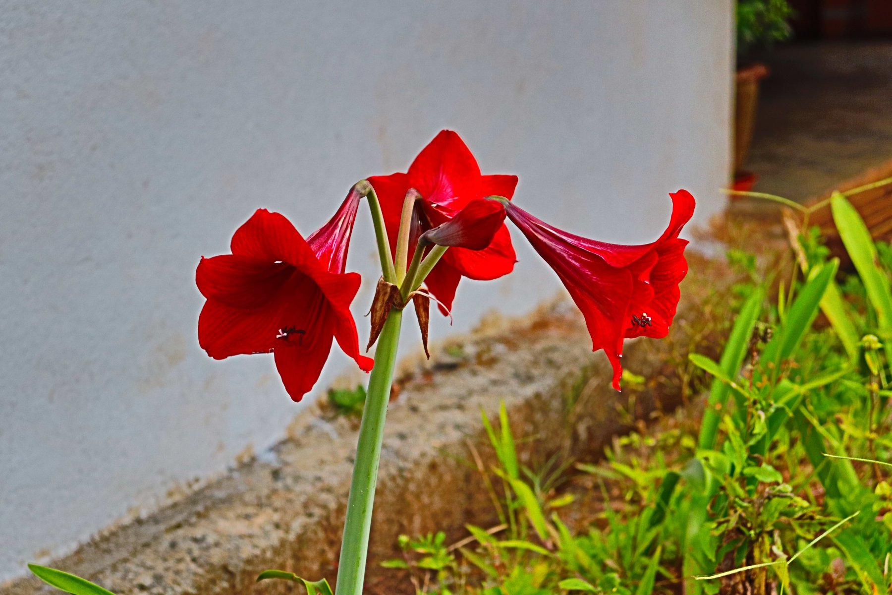 Eco Valley Retreat-酒店景观