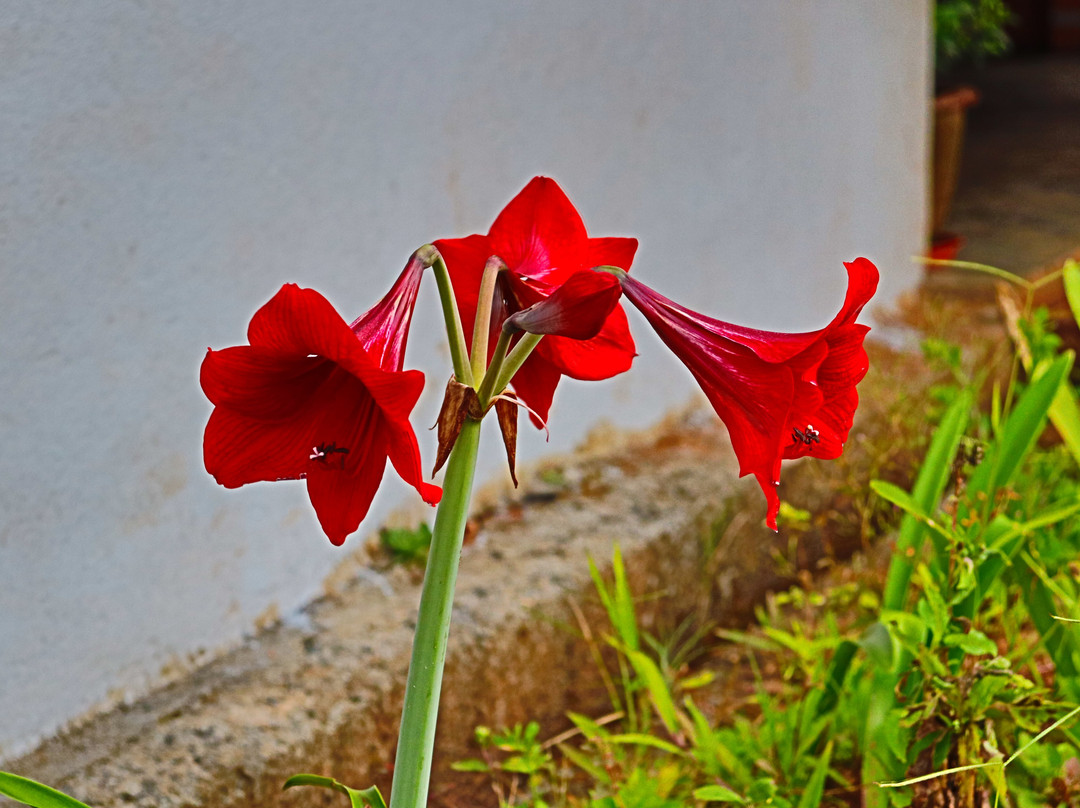 Eco Valley Retreat主图