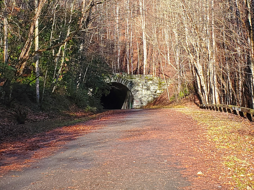 The Tunnel To Nowhere景点图片