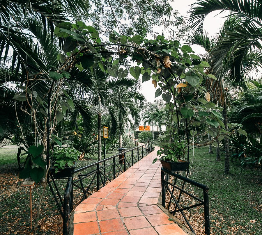 维多利亚度假村主图