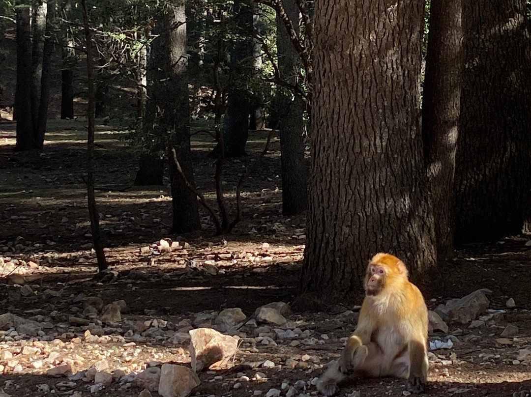 Pure Maroc Journey Design-非斯必去景点