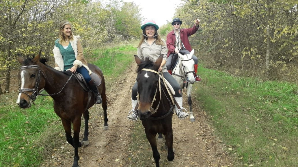 Caballos a la Par-布宜诺斯艾利斯必去景点