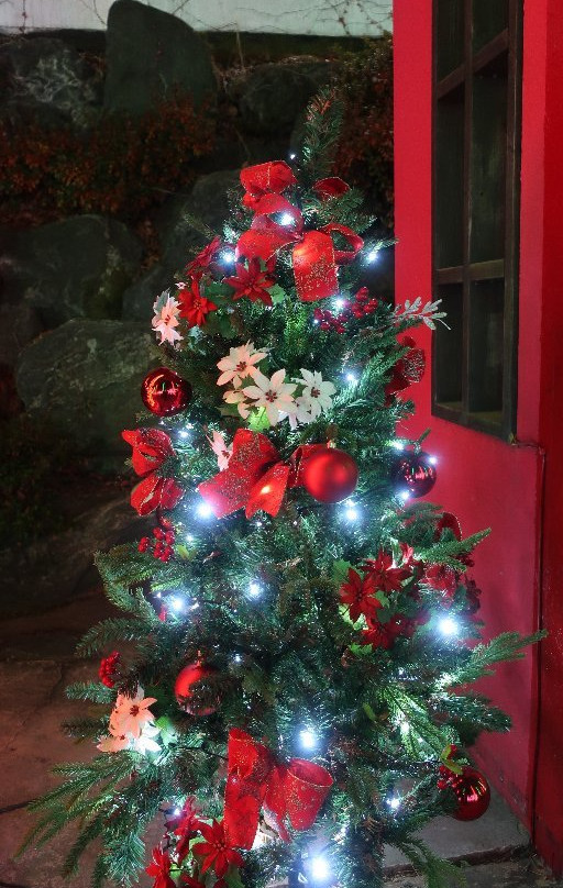 Cheongdo Provence Photoland-清道郡必去景点