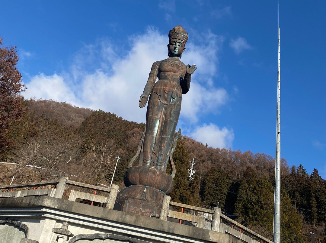 Sekai Heiwa Kannon景点图片