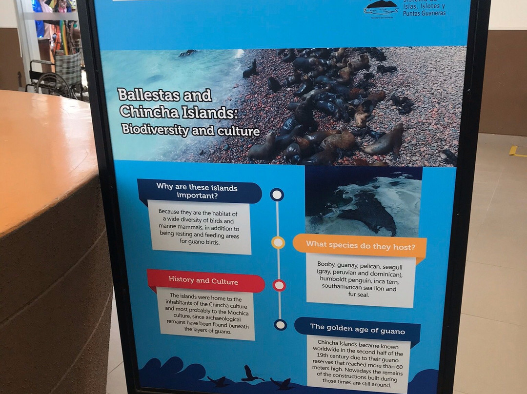 Paracas History Museum -  Juan Navarro Hierro-帕拉卡斯必去景点