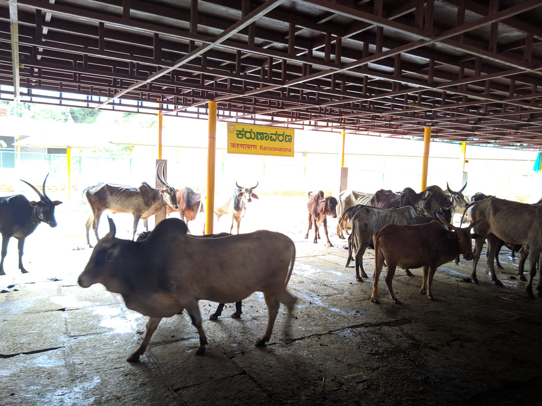 GouSwarga-Siddapur必去景点