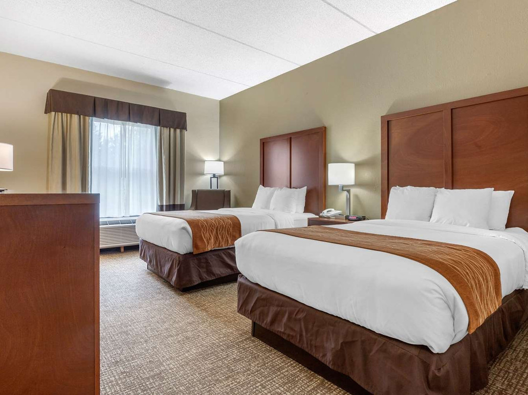 Comfort Inn Asheville Airport主图