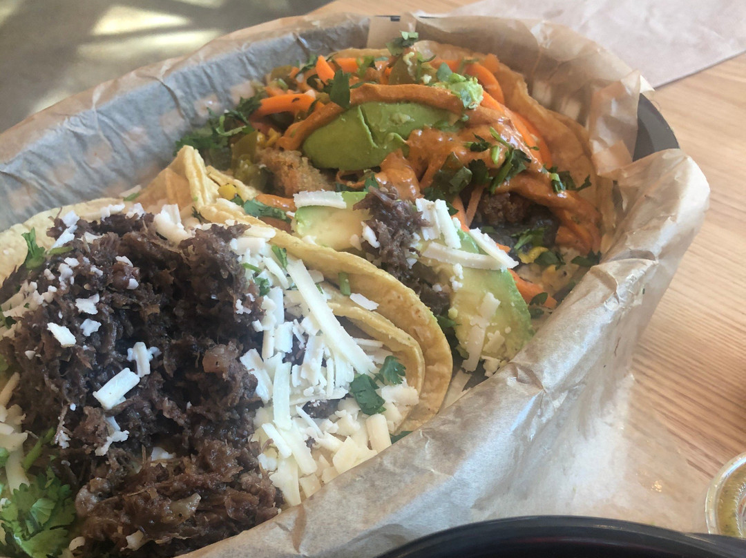 Torchys Tacos