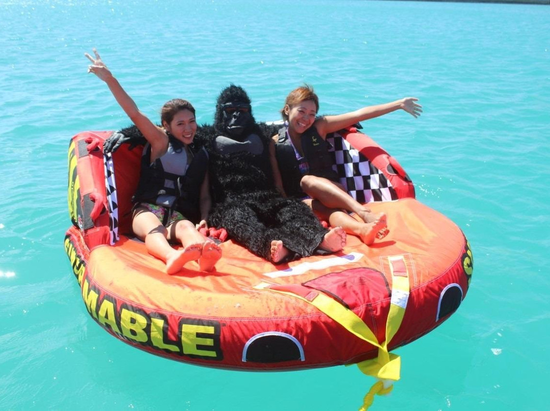 マスタークルーズ-石垣市必去景点