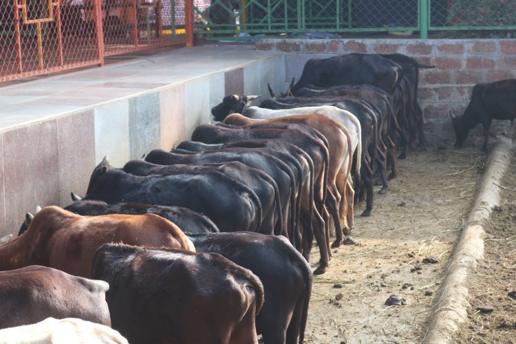 GouSwarga-Siddapur必去景点