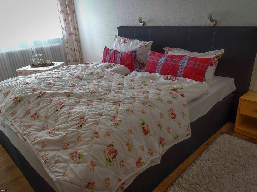 Hotel Gasthof Goldener Adler主图