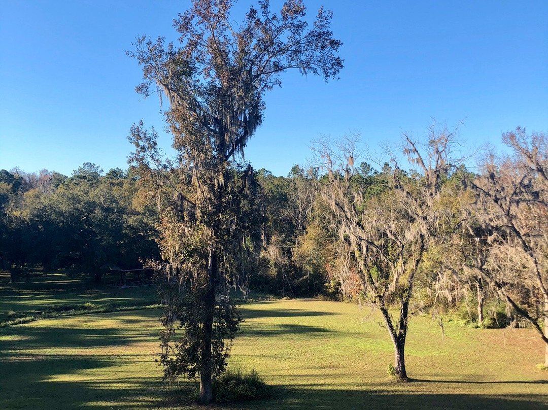 Lake Jackson Mounds Archaeological State Park景点图片