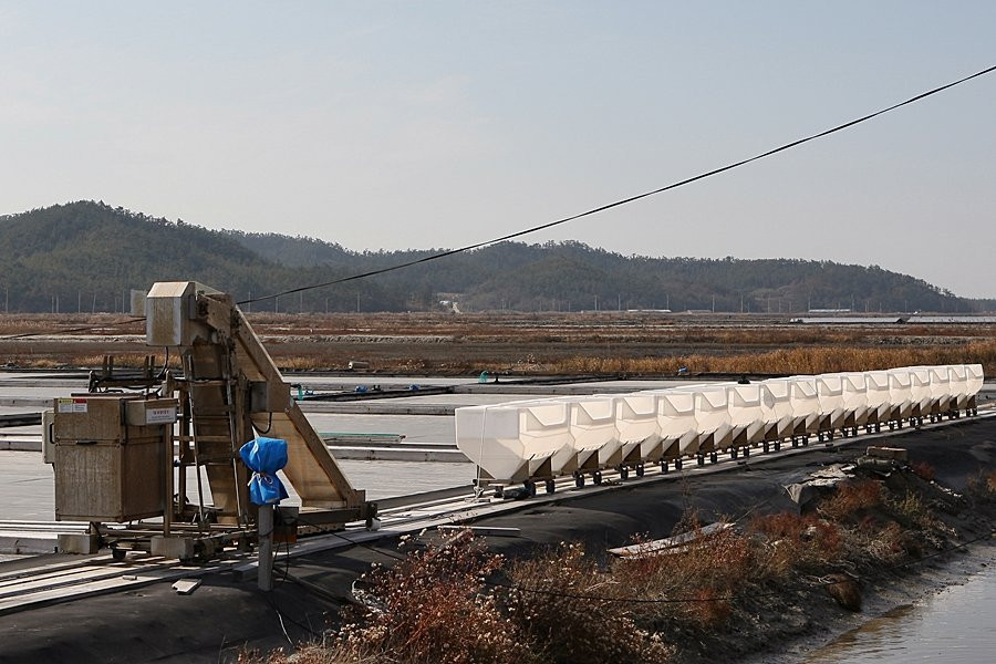 Taepyeong Salt Farm