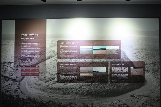 Shinan Getbol Center Cittaslow Center