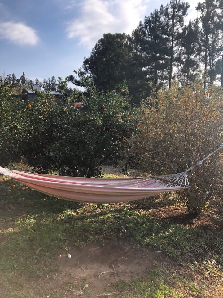 耶菊考套房酒店-家庭/游戏区