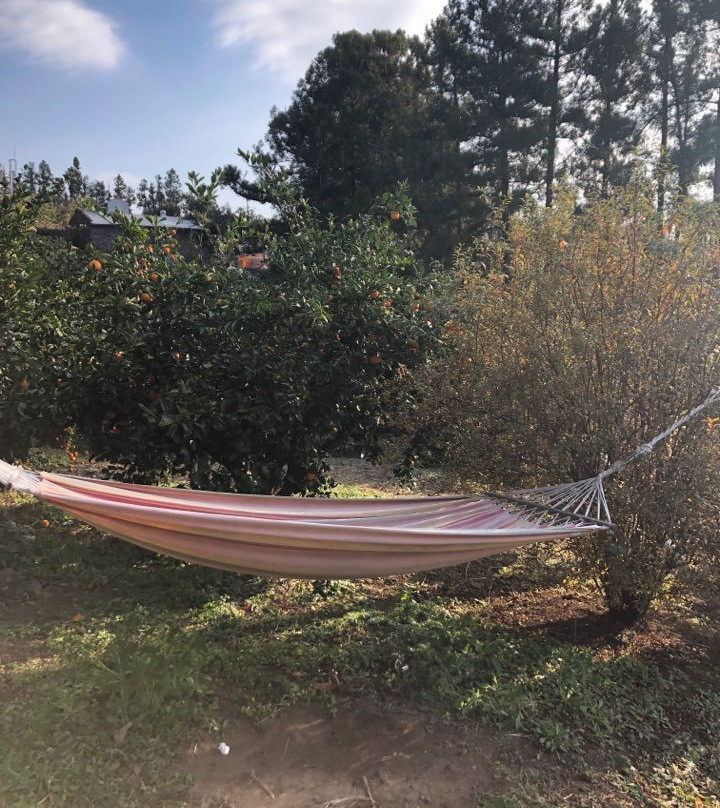 耶菊考套房酒店主图